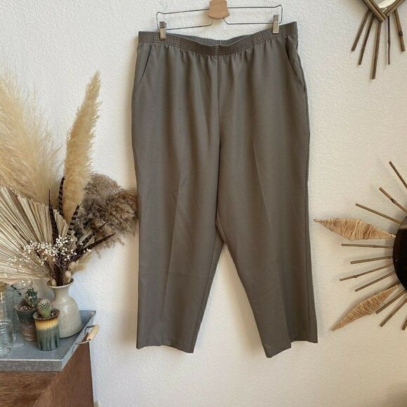 Briggs New York Women's Plus Size Size 18w Pull On elastic Waist Pants - Picture 1 of 8